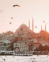zu sehen ist die Istanbuler Hagia Sophia Moschee vom Meer aus. Drum herum fliegen Möven.